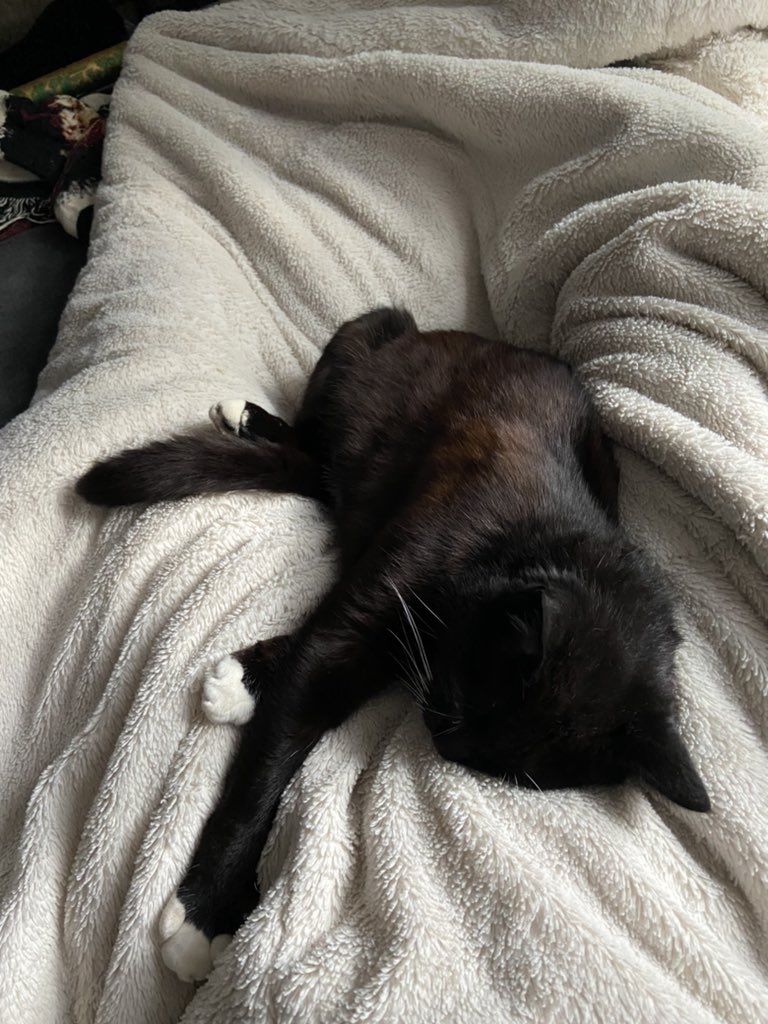 Lea 🦀 tweet media