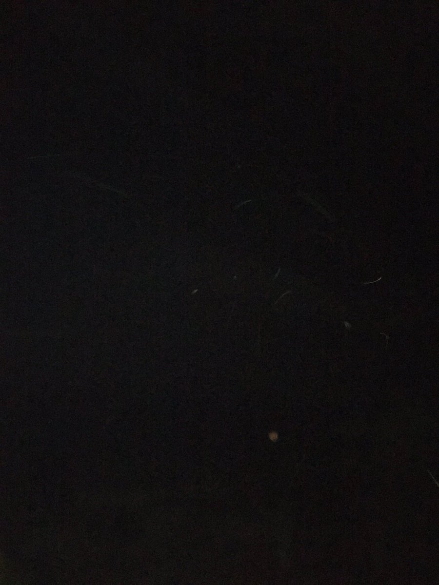 Òscar Rodríguez Díaz tweet media