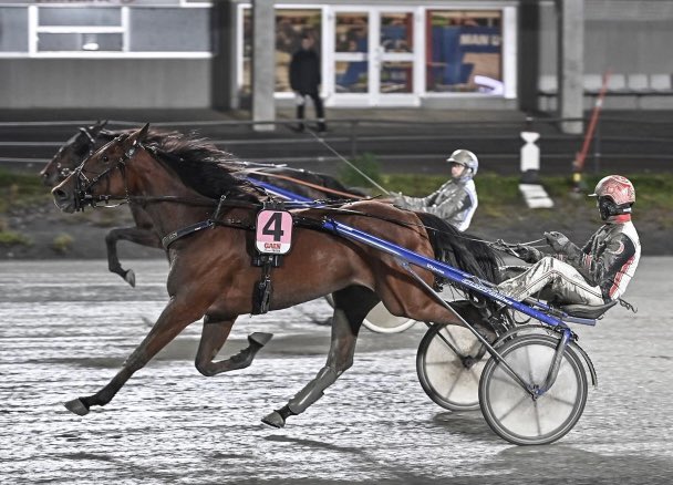 StallWajersten's tweet image. 2-åriga Global Delivery levererade direkt i sin debut på en regntung banan i Umeå. Första starten resulterade i första segern! 

Ägare: Stall Well Off
Skötare: Viktor Brodin
Segertid: 1.19.8 1640a