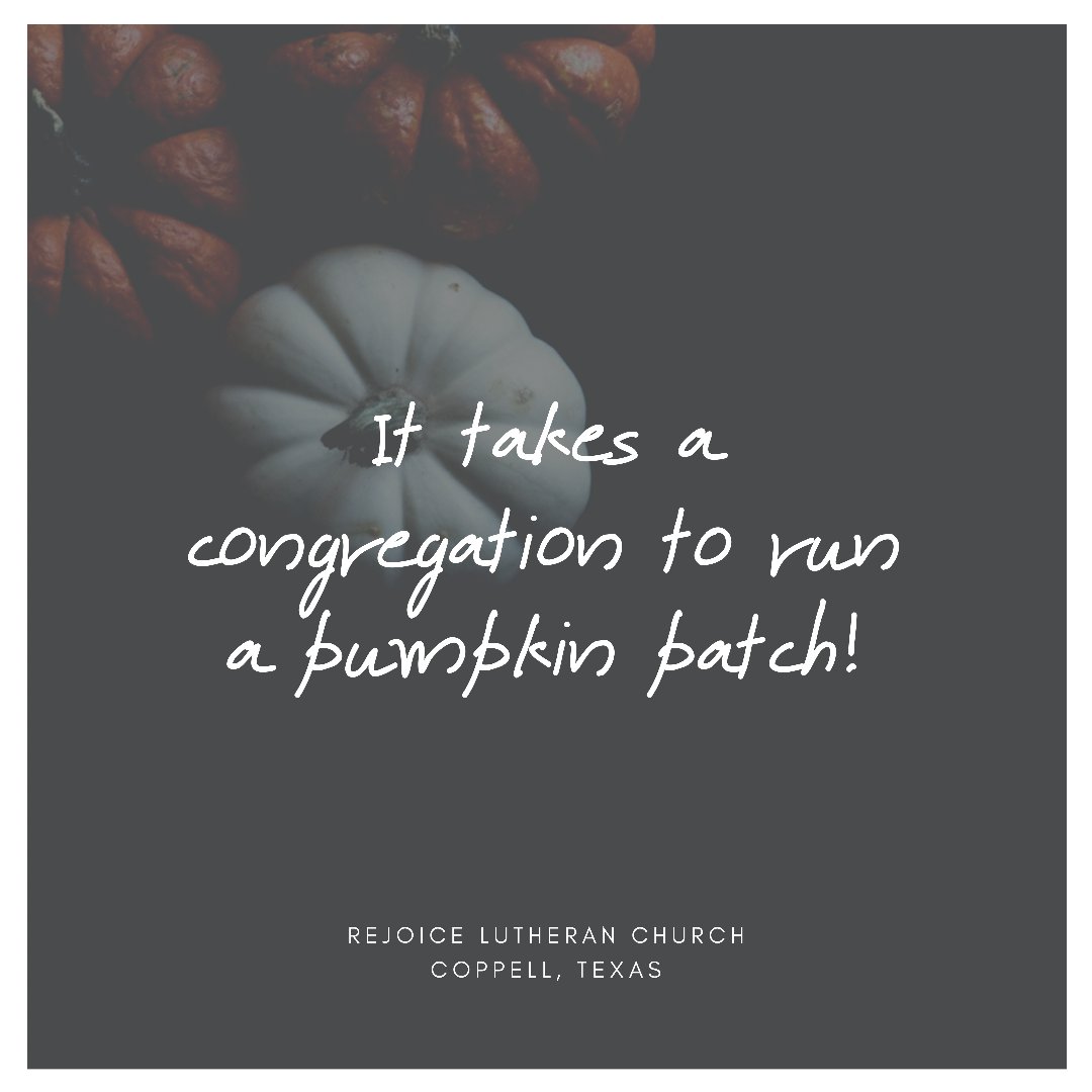 rejoicecoppell's tweet photo. Interested in helping run the pumpkin patch? 🎃 Visit: https://t.co/VkD0Rqgsc9
#rejoicelife #rejoicecoppell #coppelltx #coppellpumpkinpatch #coppellpumpkins #pumpkinscoppell #pumpkinpatchcoppell #pumpkinpatch #coppell #rejoicelutheranchurch #elca #fellowship #volunteer https://t.co/v7of5glHgV