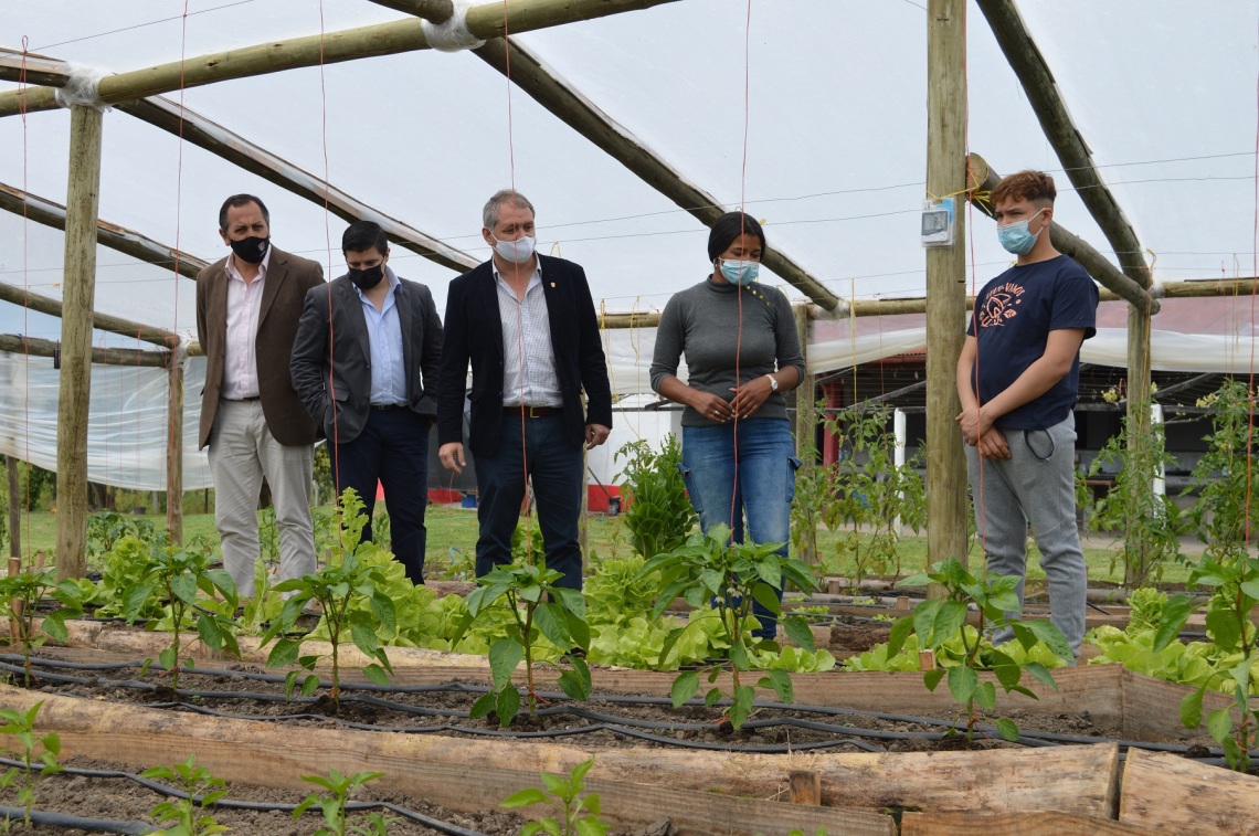 Intendente y Director de IMPO visitaron programa de huerta orgánica del proyecto Culti-Vamos
cw33florida.com.uy/index.php/loca…