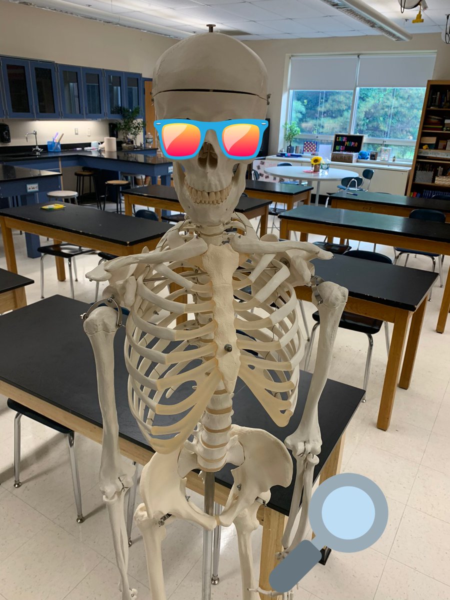 Middlebrook8Red's tweet photo. Charlie is having fun teaching the #8Red students about his bones!  The key to memorizing is to DO SOMETHING WITH IT! Have some bone-y fun this weekend singing @AwesomeSauceIn’s song:  https://t.co/WIoe1kFVtu #wiltonwayct #middlebrookway #weare8R https://t.co/7OZ9w9ewxP