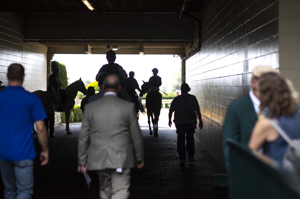 An October afternoon in Lexington, Kentucky. <a href="/heraldleader/">Lexington Herald-Leader</a>