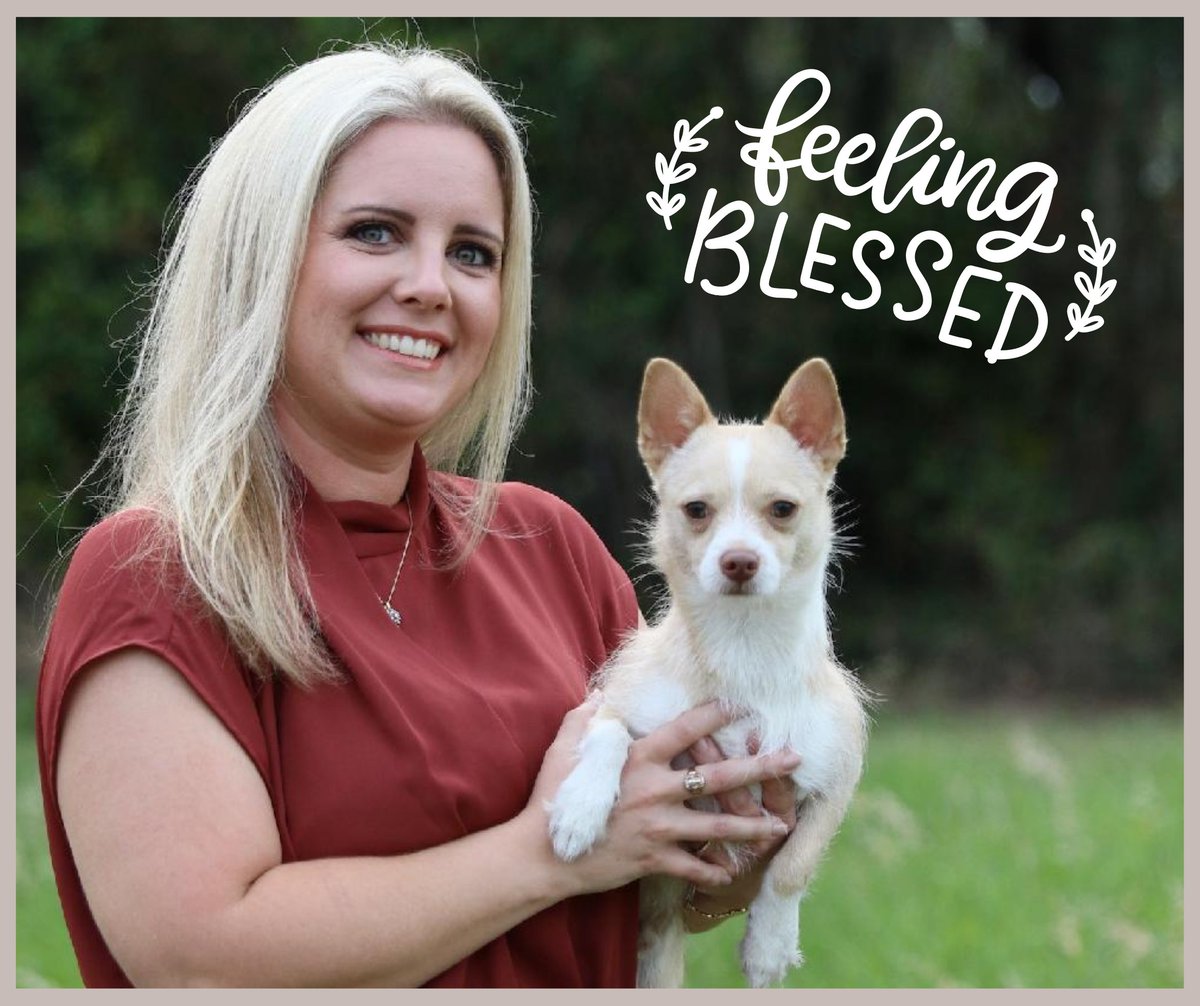 DanaVRealtor's tweet photo. I am blessed to do what I do everyday. There is much good to come yet this year.
#FLRealtor #blessed #feelinggood #happyfall #seasonofblessings #realtorlife #flrealestate #realtordog #cutedog #Tank #thankful #grateful #furryassistant #simplyblessed #realestate #realestatelife https://t.co/Y4dVMZw7cp