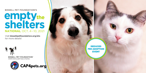 cap4pets's tweet photo. The @BISSELLPets #EmptyTheShelters event is back! Adopt an amazing dog or cat at Citizens for Animal Protection for only $25 through Sunday 10/10!
https://t.co/m1Ng14L2DG #CAP4pets #Houston #KatyTX https://t.co/sh7qNeNVIl