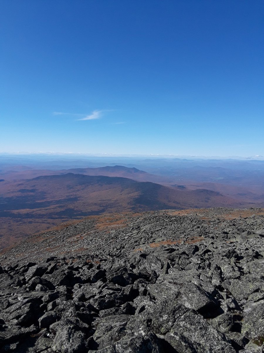 chip malfunction tweet media