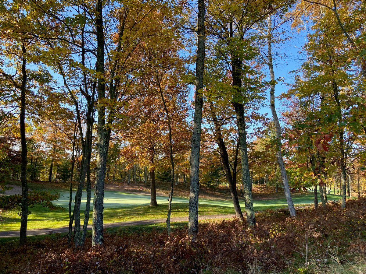 Minocqua CC tweet media