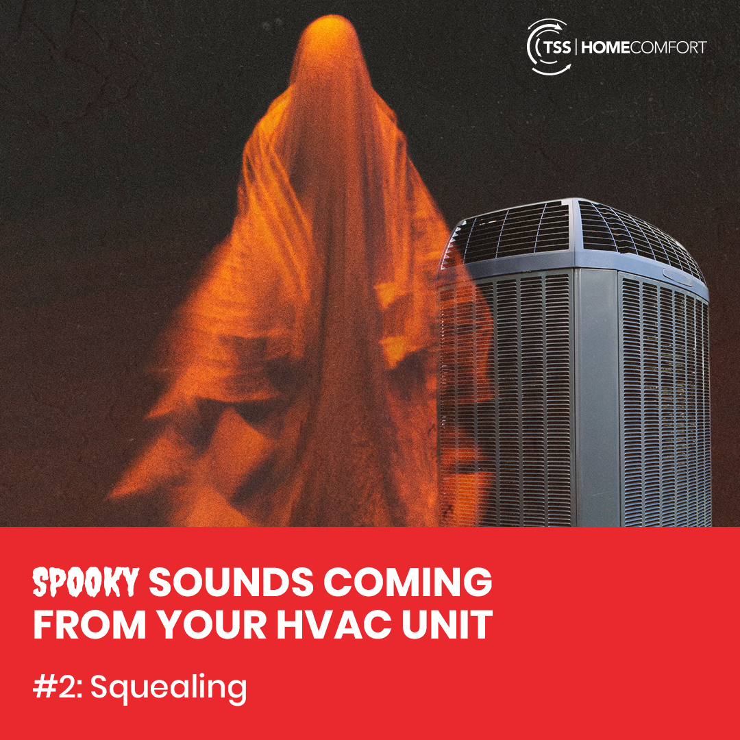 TSSHomeComfort's tweet photo. Waking up to squealing in the middle of the night would put anyone on edge. Don't worry, you're not in a haunted house. More likely than not, there is an issue with the fan or motor in your furnace. It's nothing the pros at TSS Home Comfort can't handle!

☎️: (208) 908-4330 https://t.co/muNyJUAzEF