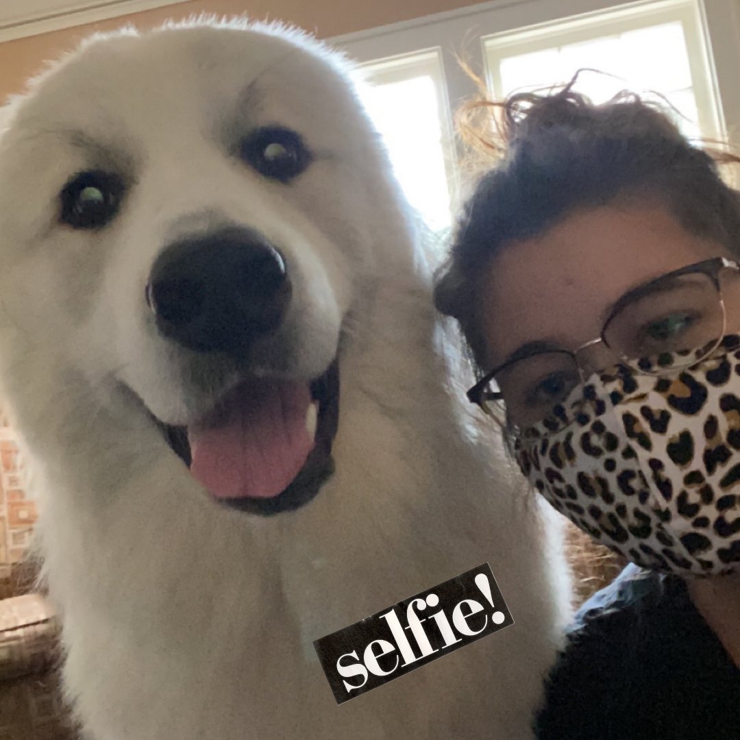 FlVetRehab's tweet photo. Sydni hanging out with Houdini before his laser treatment! 📷 + 🐶 = ❤️

#lasertherapyfordogs #floridaveterinaryrehabilitation #rehabvets #caninerehab #caninerehabilitation https://t.co/LxyfSaKPOw