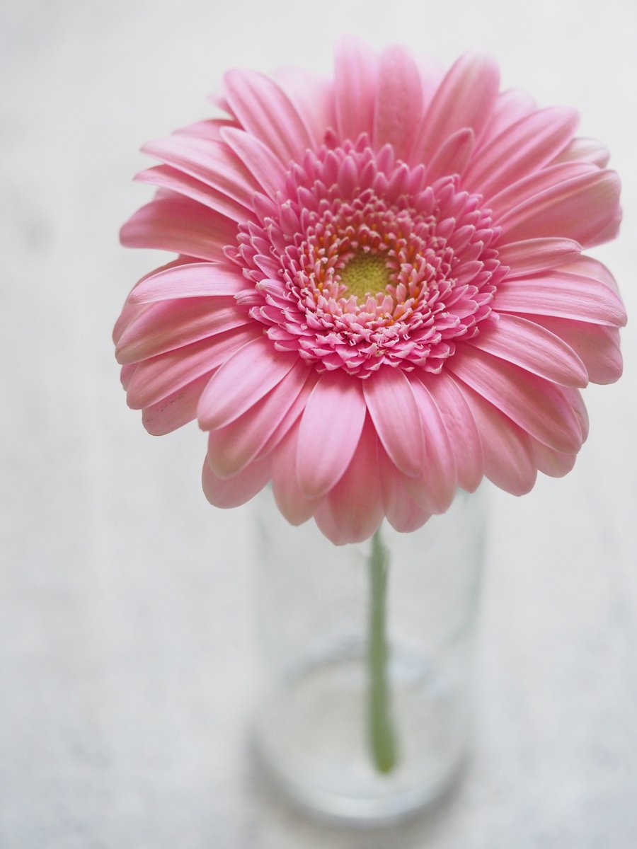 ascott_king's tweet photo. Fight for LIFE! Move forward with your dreams & the dreams for your family. #GetLifeInsurance #breastcancerawareness #isaafinancial #dream #future #retirestrong #empower #millenials #life #family #love #lifehappens https://t.co/TrzBvbjDmf
