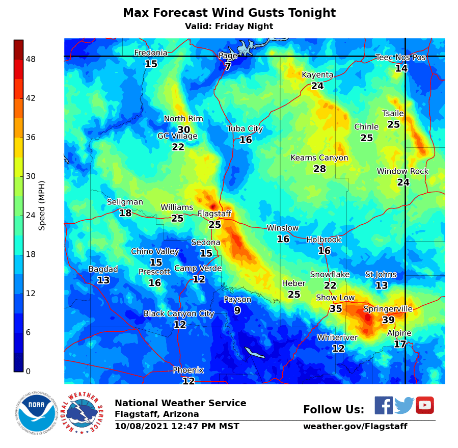 Coconino NF tweet media
