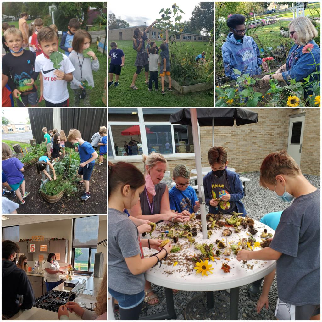 givinggardenUP's tweet photo. @HCSDF2S connections w/ Ss throughout the district this week! #HarvestoftheMonthtasting @upeshcsd #pollinatorhunt @CAShcsd #leafart @BVSelementary #seedsaving @ArmorElementary #collectingseeds w/ @LSajdakHHSWBL HHS Ss & Culinary cooking with Mrs. Gund's Culinary class @HMS14075 https://t.co/SXFY4qVUGn