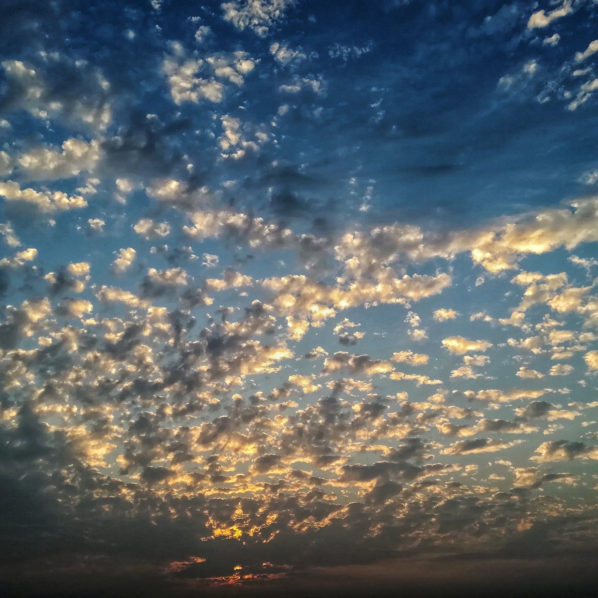 Sunset Photography 
#sunset 
#photographer 
#PhotoOfTheDay