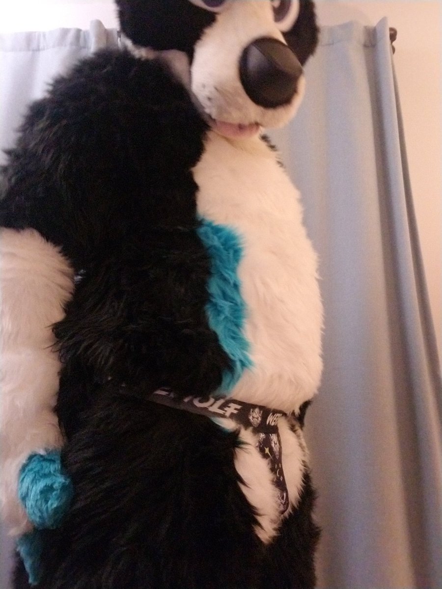 Were-collie on the prowl! #FursuitFriday #Jocktober