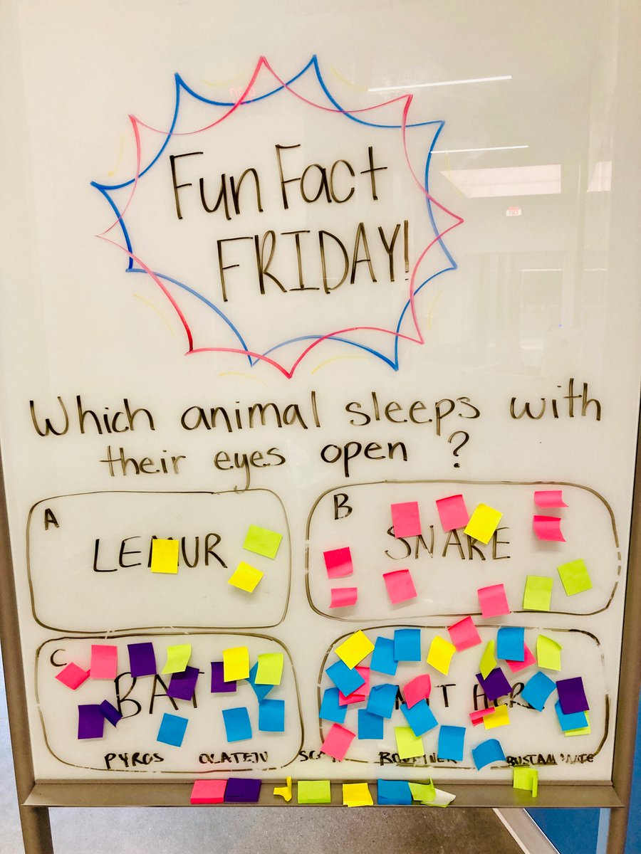 Kurk Pyros tweet media