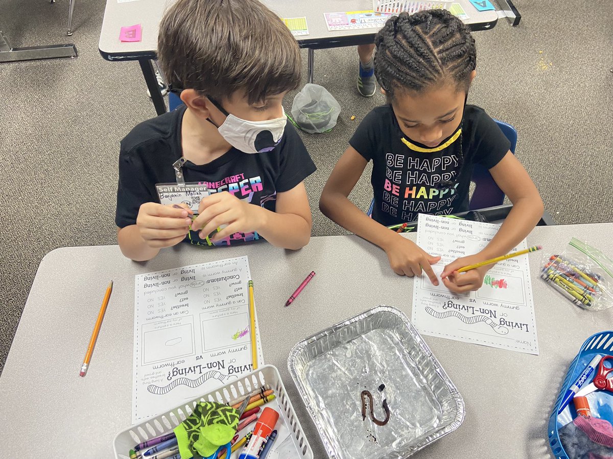 EKarlin26's tweet photo. Learning about the difference between living and non living things by observing an earthworm and gummy worm! #iheartscience @SiglerStars @SiglerStars1st https://t.co/pACy4Z77Mr