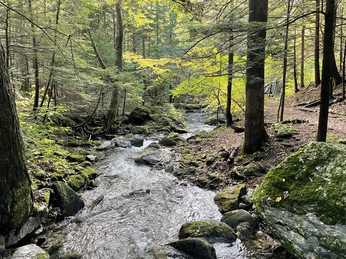 It’s leaf peeping season 🍁