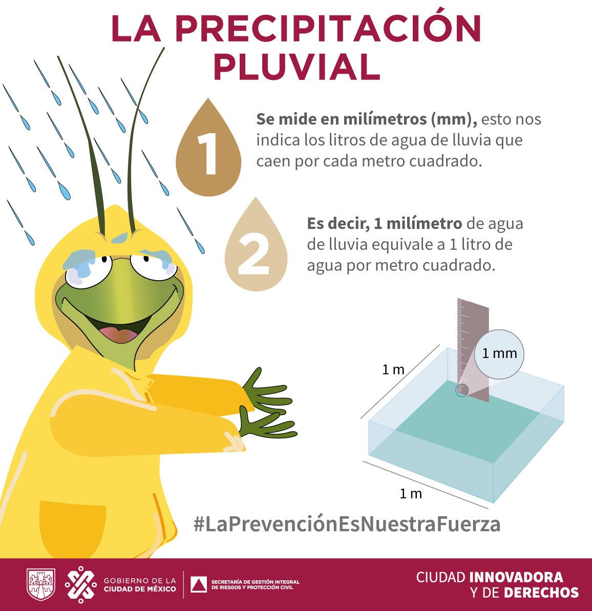 SGIRPC_CDMX's tweet photo. ¿Sabes cómo se mide la precipitación pluvial?

Esta se mide en milímetros y nos indican cuántos litros de agua de #lluvia caen por cada metro cuadrado; es decir, 1mm equivale a un litro de agua por metro cuadrado.

Recuerda, #LaPrevenciónEsNuestraFuerza https://t.co/grR8wwkol2