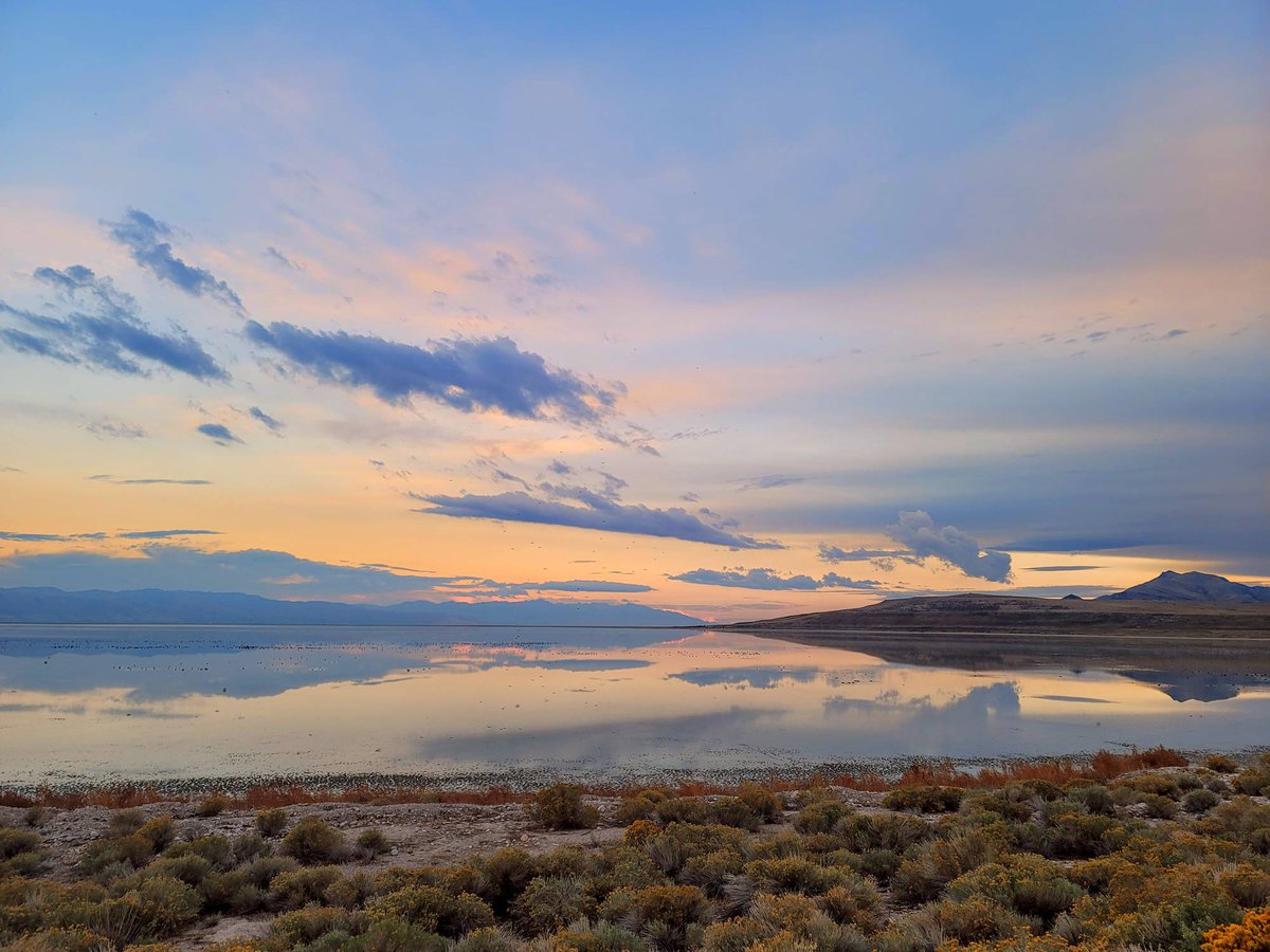 zaxisimages's tweet photo. One of the the most important aspects of creativity is seeing opportunity in the world around us and knowing how to capture it.

Before you can share beauty, you must first learn to see it. https://t.co/BO9hgD0MP8