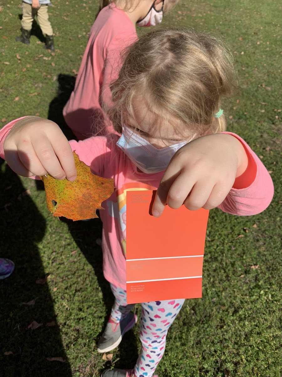 This week in Kindergarten we were letter sound detectives, pumpkin cookie bakers, castle builders and nature explorers. <a href="/PcLdsb/">Prince Charles (Verona)</a> littlest learners are growing and learning more each day. This thanksgiving weekend I am so thankful to have this wonderful little class community! 🥰