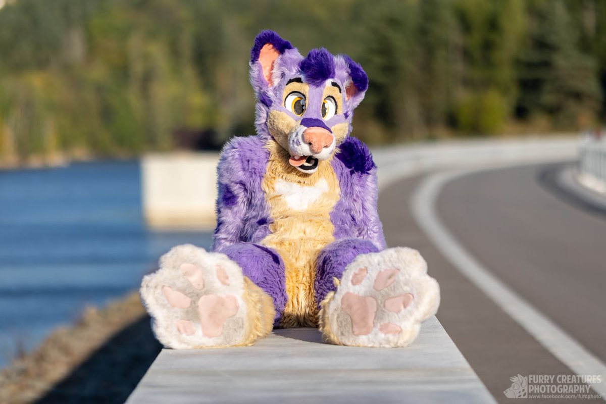Maffik ๐จ๐ฟ (@maffik2) on Twitter photo Was a really nice time to spend some time with furries and my friends on Kraz. Sorry for my paws i know i shoud take a shower...or not?๐
Thanks to all.
๐ธ <a href="/FurCPhoto/">Furry C. Photo</a>
#FursuitFriday
#furrypup Was a really nice time to spend some time with furries and my friends on Kraz. Sorry for my paws i know i shoud take a shower...or not?๐
Thanks to all.
๐ธ <a href="/FurCPhoto/">Furry C. Photo</a>
#FursuitFriday
#furrypup