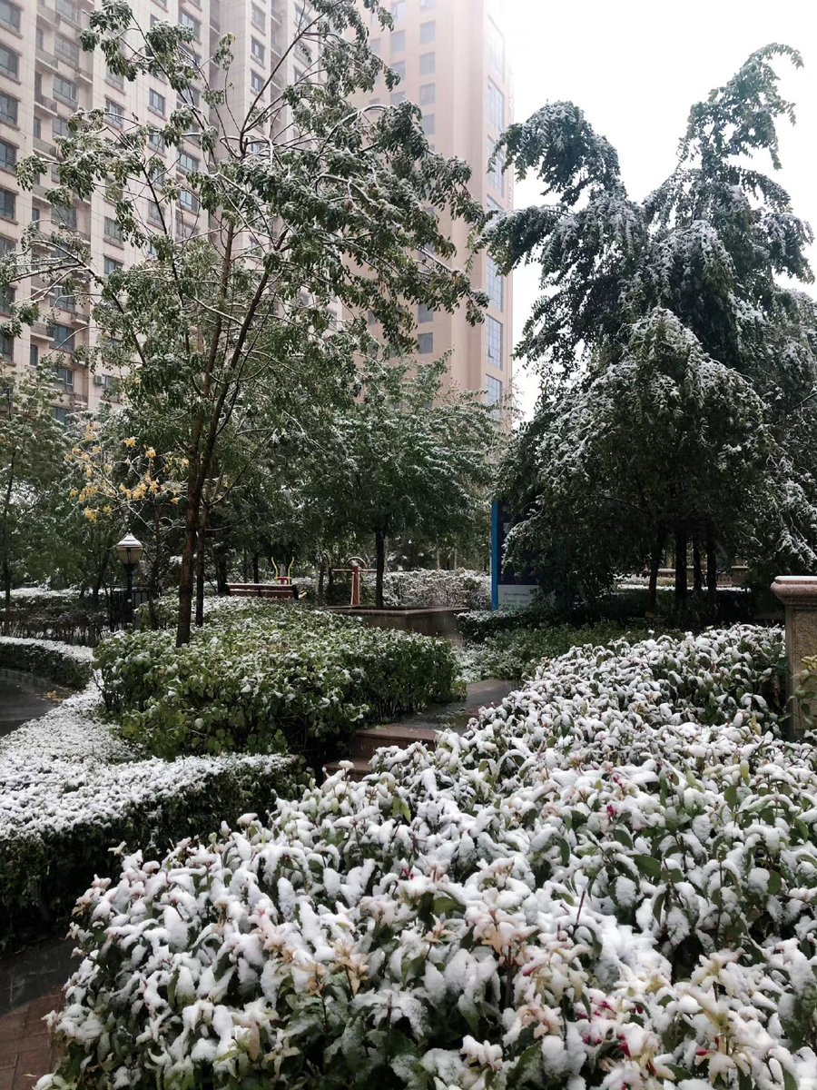 Ice_Chinese's tweet photo. @bplannnnn Morning baby 💚

It's snowing and cold here. How about yours? Miss you!🙆‍♀️💚❄️❄️❄️

@bplannnnn
#คนของแปลน 
#PlanRathavit https://t.co/J71r0b8RgM