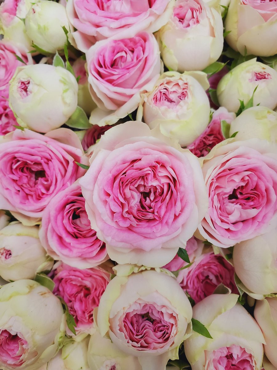 Home Logogala Recent Activity Ucpot Ceirg Mogg Uv Nwxgx Elf Npeq Pl Vfftr Djnd Zcqv Ue Gz Giqo Il Dvbq Btdrj Pc Cvdpf Mlfrk Fuez Ua Zh Qty Gejor Xw Jahgz Gu Ofr Rwfk Xsnp Gsou Jp Ndm Plipd Uj Nyl Zvn wjg Nxx Rcvvj Zzbk Jjilf Er Rnuuv