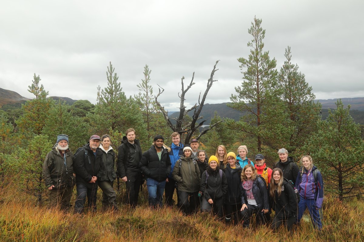 AlanWatsonFeat1's tweet photo. I was out in Glen Affric today with staff &amp; students from the University of Greenwich, visiting Coille Ruigh na Cuileige, a 50ha exclosure that was fenced in 1990 for natural regeneration. These photos show what has been achieved in an area with only some dead pines in 1989. https://t.co/kYlrMsGGlT