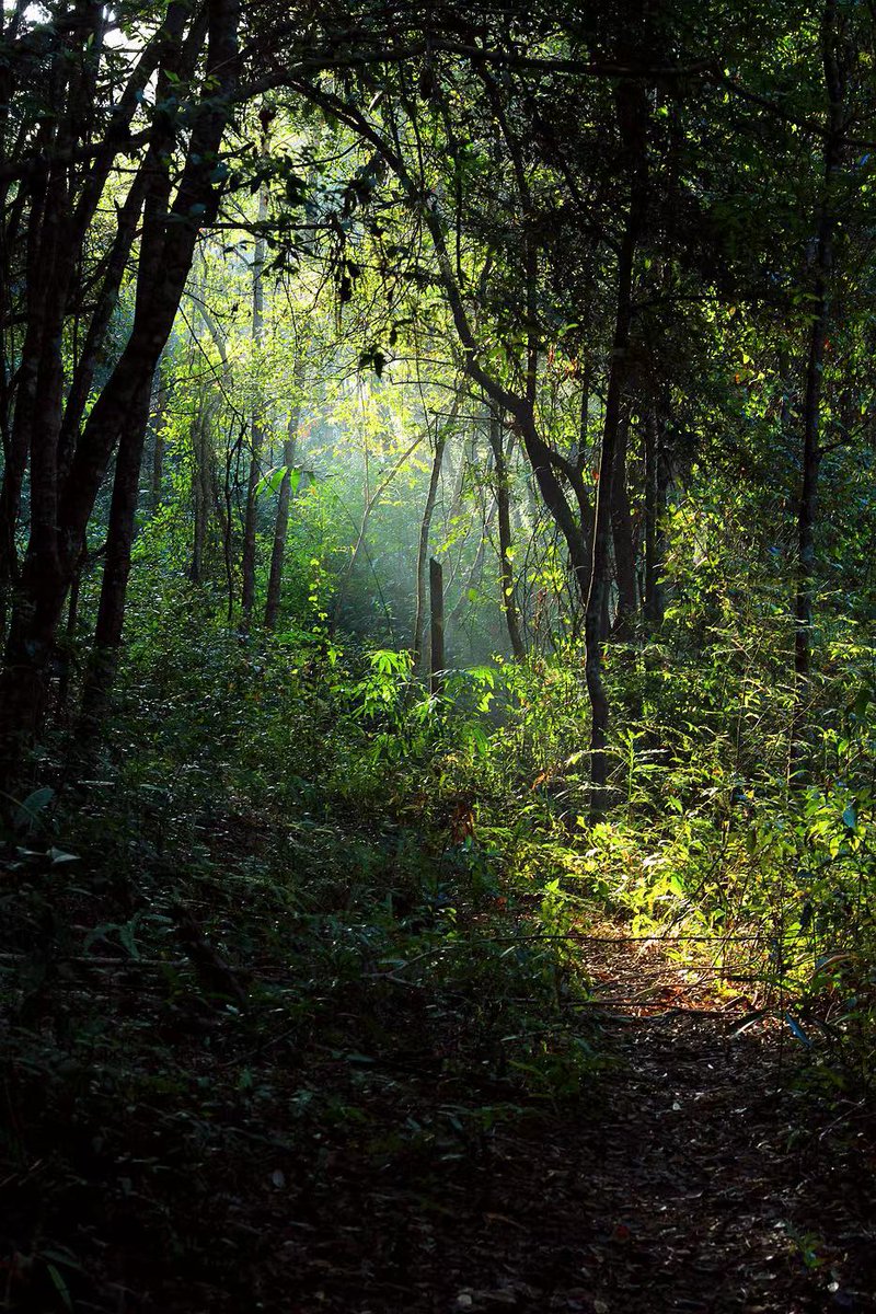 It's really beautiful