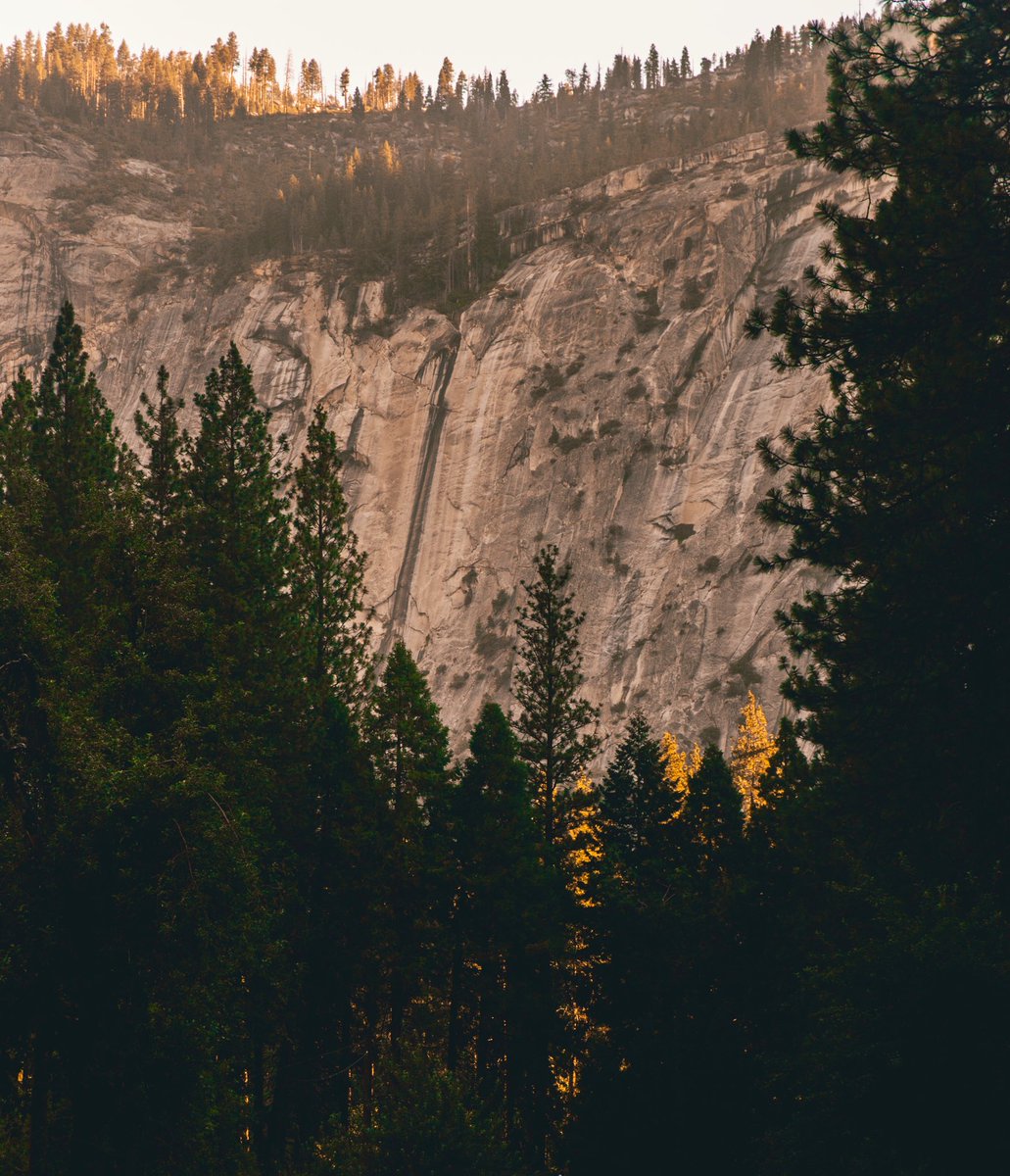 nate_levine's tweet photo. 🏞 https://t.co/hY6C1p4BDv