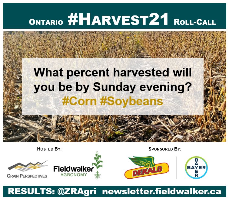 Matthew Pot tweet media