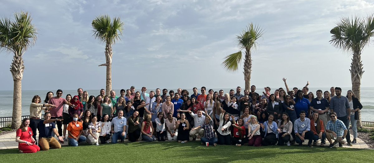 Raluca Mateescu tweet media