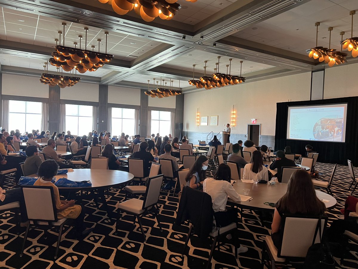 Raluca Mateescu tweet media