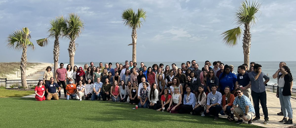 Raluca Mateescu tweet media