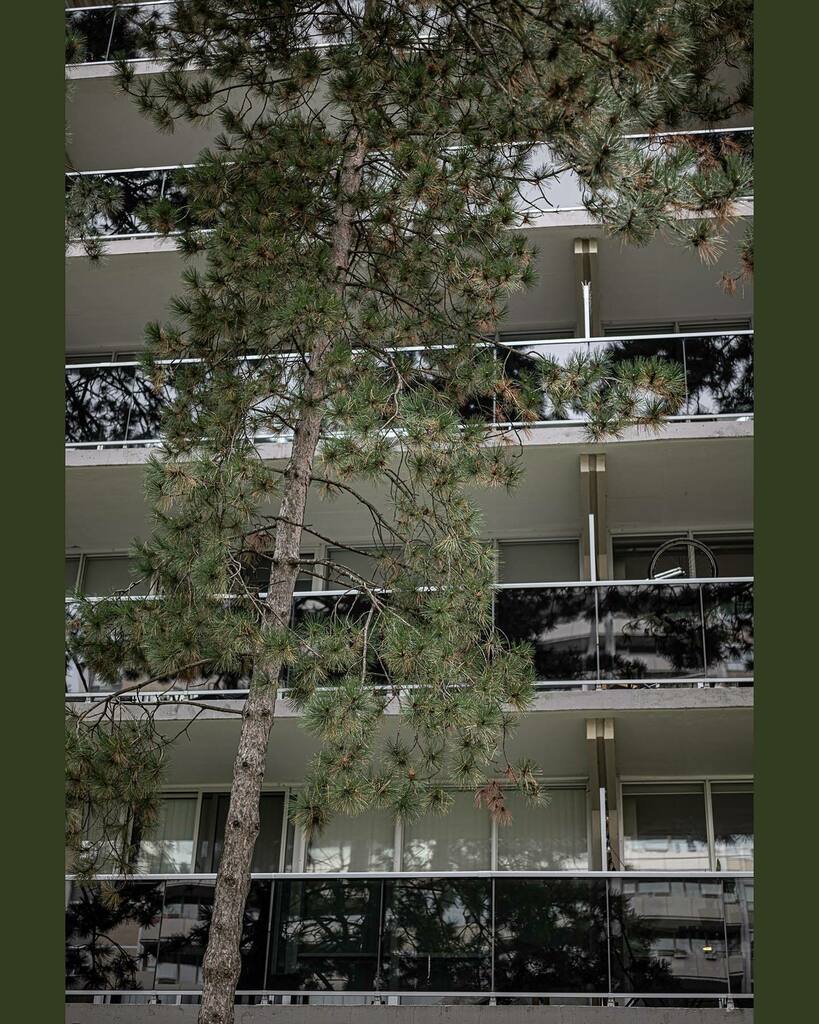 The silent wheelie. 🚲
#wheelie #landscapephoto #urbanphotography #apartmentlife #balconywheelie #art #reflected #trees #leicasl2s #summicron50 instagr.am/p/CUyNPHarFrp/