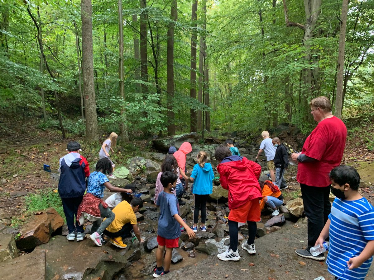 Check out third grade doing stream studies!