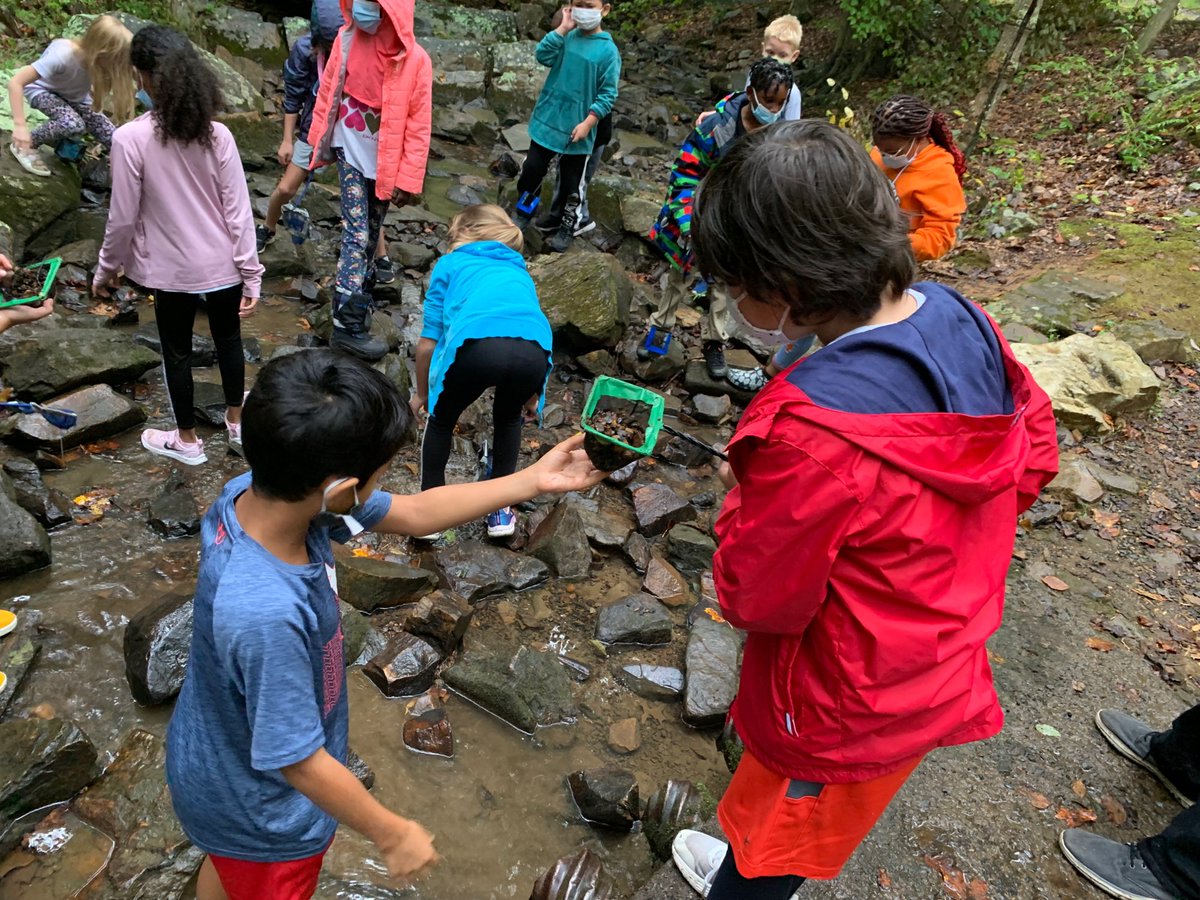 The Outdoor Lab tweet media