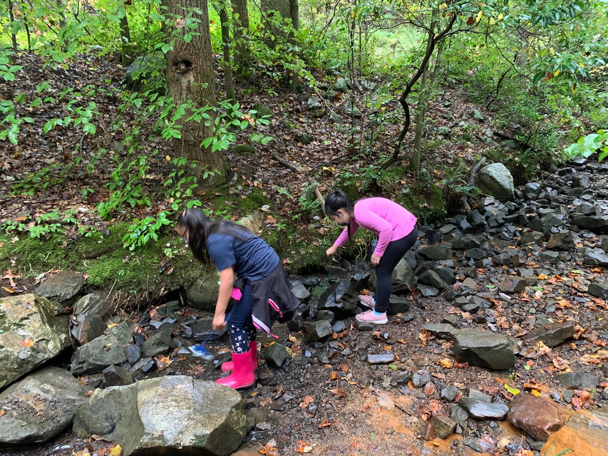 The Outdoor Lab tweet media