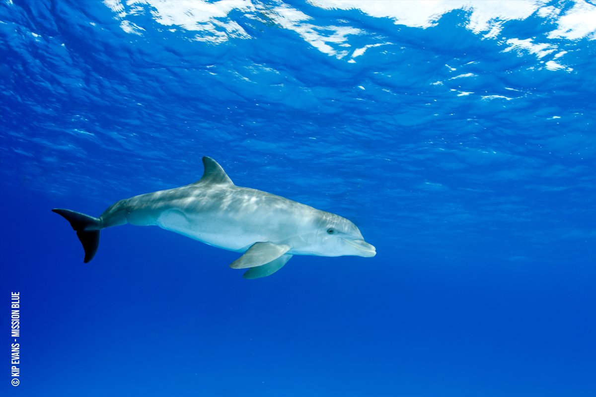 Right now is the best time in the history of humankind in terms of really being able to shape a future where we can find a place for ourselves within the natural systems that keep us alive.