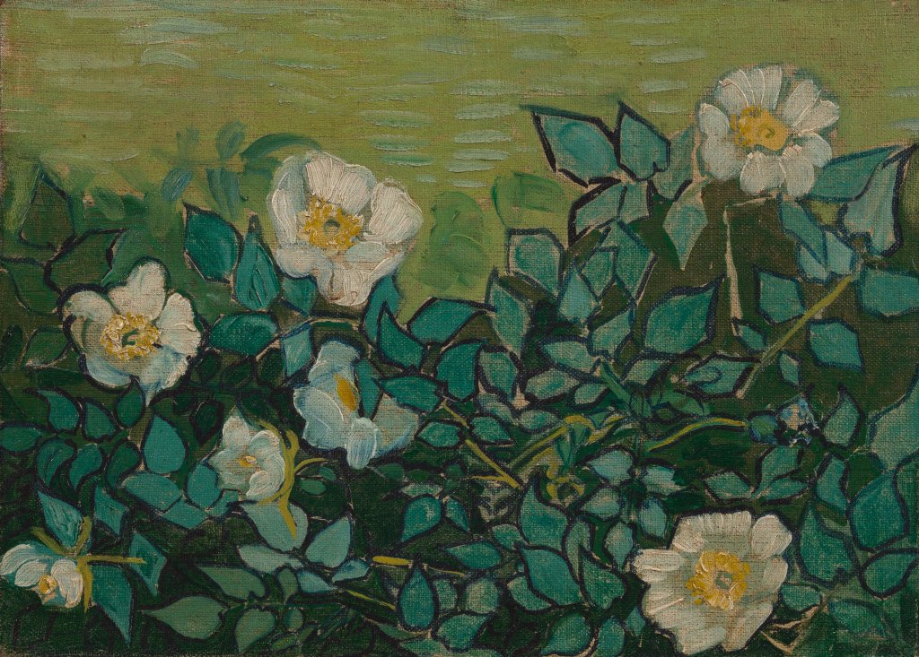 ArtY48404929's tweet image. Vincent van Gogh, ''Wild Roses'', 1889
#art #paining #vincentvangogh ☮️💜🌼