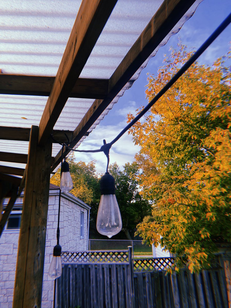 ankitasingh2210's tweet photo. Hello #Fall! https://t.co/nzMi830WxZ
