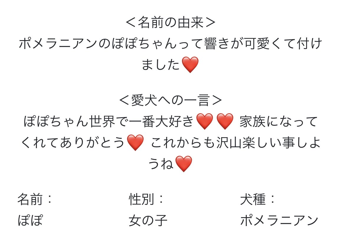 愛犬の名前の由来 Twitter Search Twitter