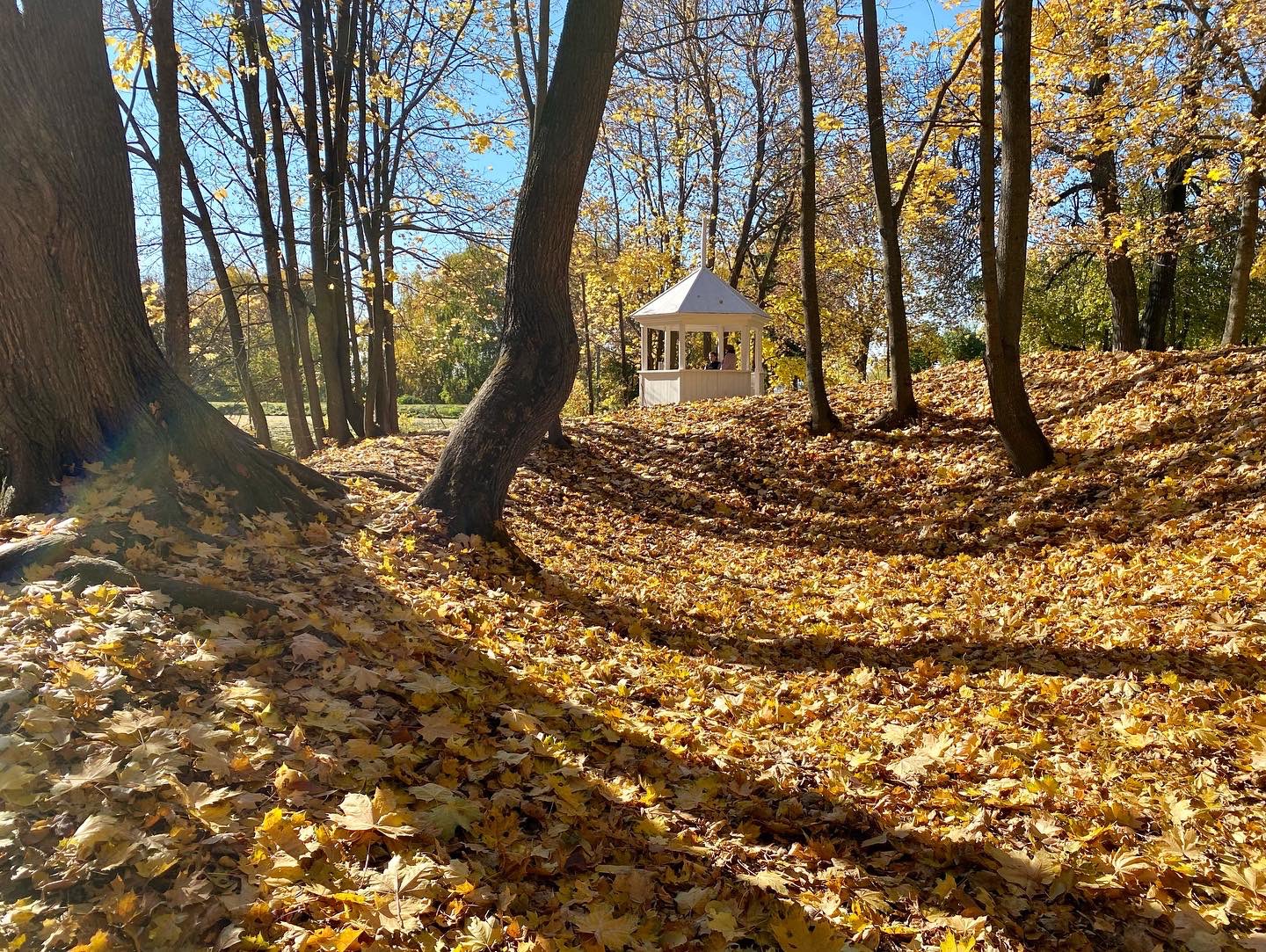 Болдинская осень природа