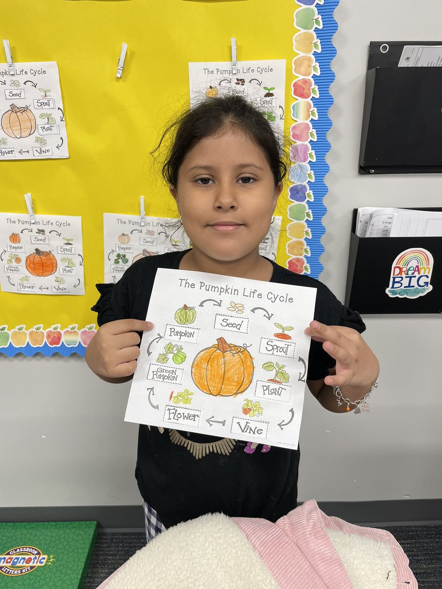 MrsPrivratsky's tweet photo. Pumpkin Week🧡 @CFISDLieder #growinglieders https://t.co/FuTEkGk6v7