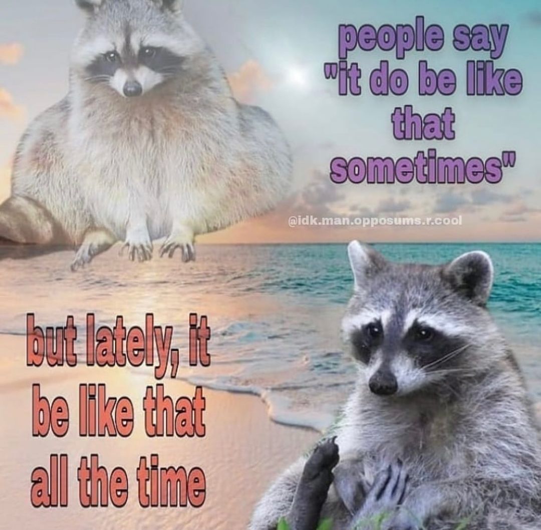 BlasterIsVibing's tweet image. 