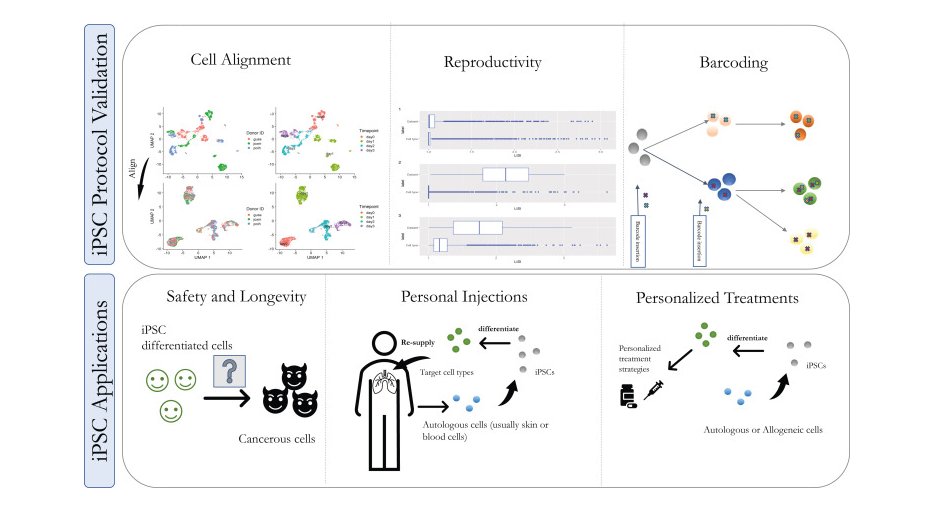 ESC_iPSC_News's tweet photo. Drs. Jun Ding (@johnding86) at @McGillMed and Amir Alavi (@alavimir) at @CMUCompBio review computational tools for analyzing single-cell data in #pluripotent cell differentiation studies. 📃

Full article: https://t.co/XE8dlG2JYo https://t.co/GpDYUDVE8e