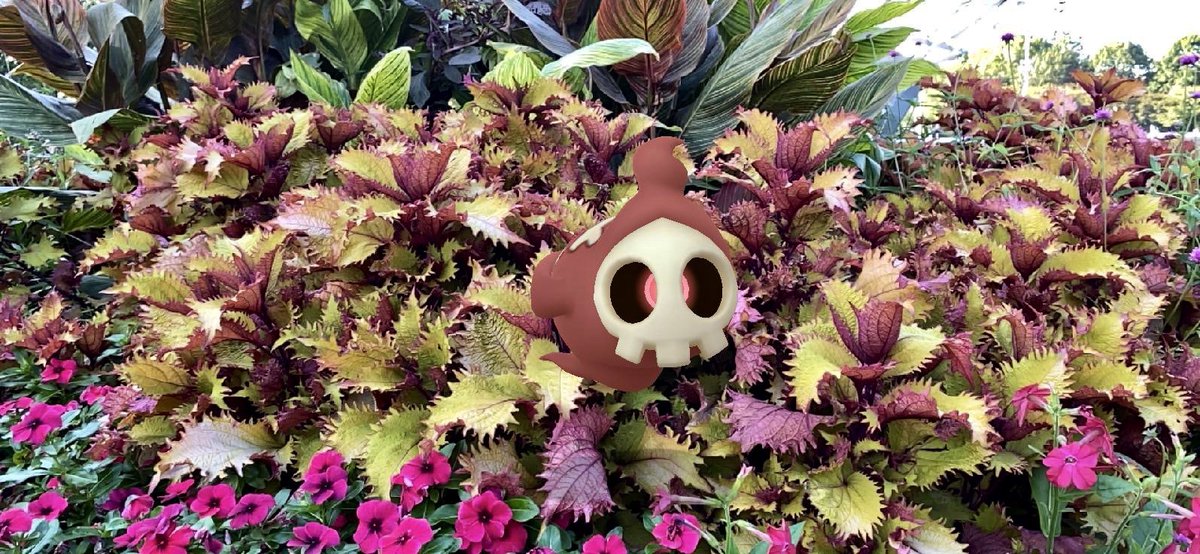 mypokediaries's tweet photo. 10.09.2021
#GOsnapshot
#PokemonGOCommunityDay
Requiem For A Dream Ghost: starring Shiny Duskull in her first Community Day debut.
#ztdnews #ashkweekly #shinyduskull #ARPhotoADay #ARofTheDay #ShinyARSaturday #PokemonGO5YearAnniversary #CatchYours #pokémongo #pokémon #nyc https://t.co/Wso4htIsWX