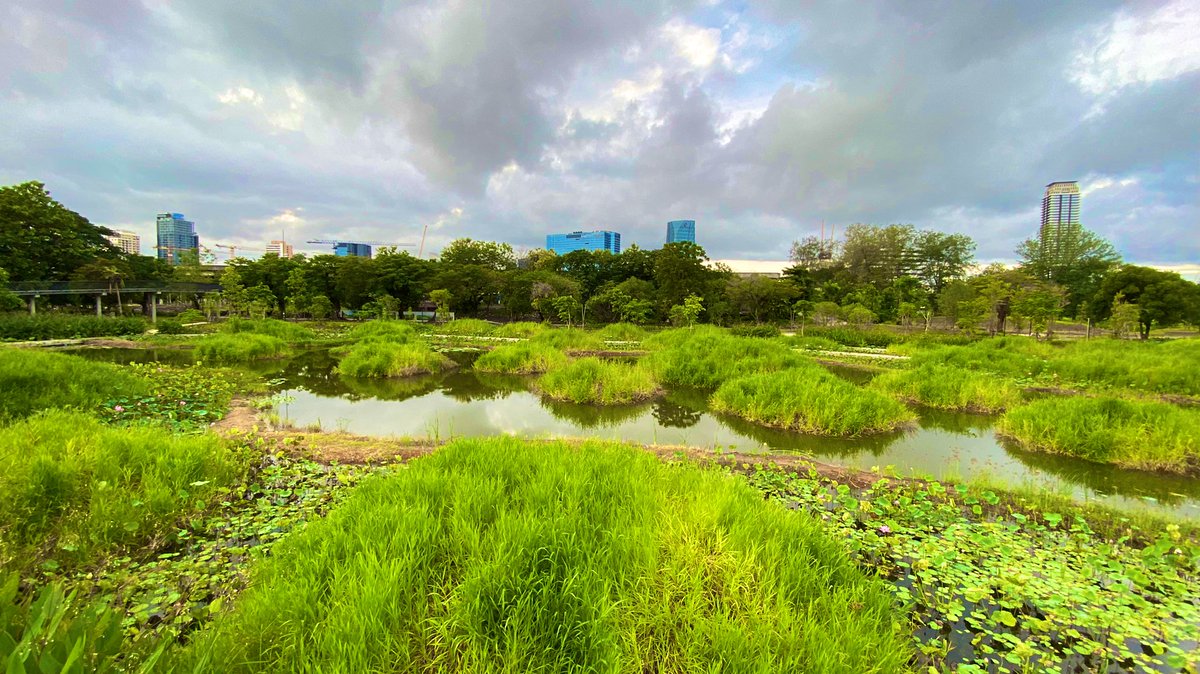 Zatawat's tweet photo. Cannot wait for this new park to be fully opened. Happy to see new big green public space added to Bangkok. Something nicer than new shopping mall. 
#CityRun #ParkRun #AmateurRunner #BenjakittiPark #RunningDiary #Runnerseyeview https://t.co/CLRV2CDlH5