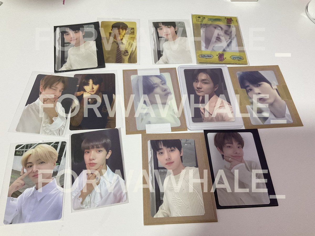 ꒰˚ ᴡᴀᴡʜᴀʟᴇ 🐬 🛒 ˚꒱ミ tweet media