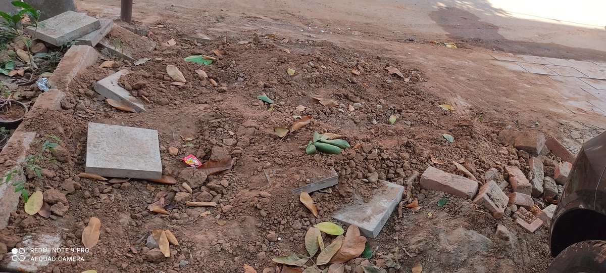 harikesh05's tweet photo. After digging pit, not maintaining the area properly. From last 10 days tiles, bricks n soil are spread everywhere. This whole activity caused huge inconvenience for us. We Sec 27 C, CHD, society people are much annoyed plz fix it immediately. @JioCare @reliancejio @reliancegroup https://t.co/8IwkSngwQA